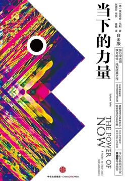 《当下的力量》 封面
