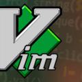 Vim 与算法刷题：打造高效开发环境